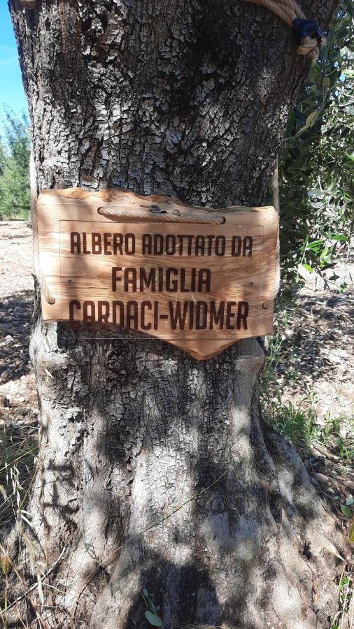 Alba Del Gargano Casa de Férias *